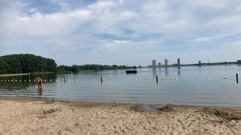 De Strandgaper