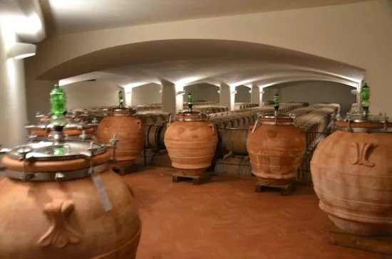 Fontodi Winery