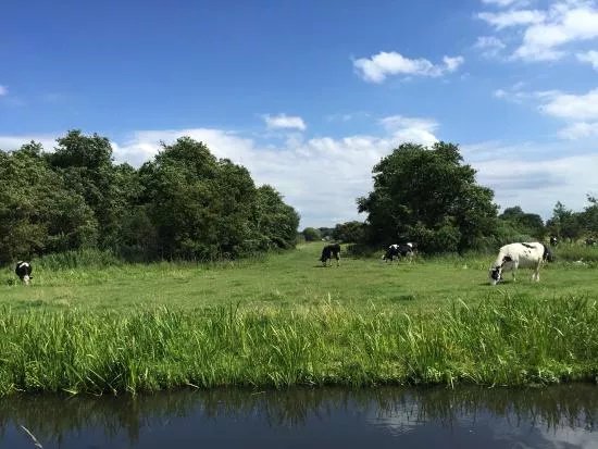Land en Boschzigt