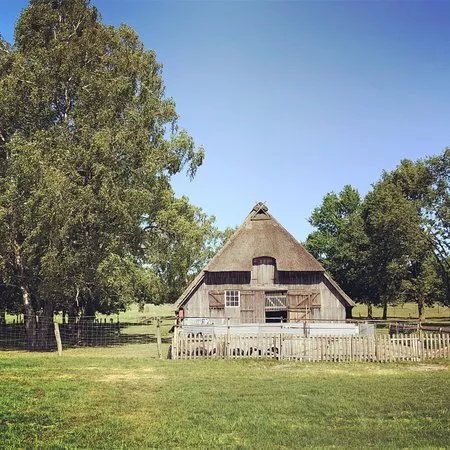 Naturpark Lueneburger Heide