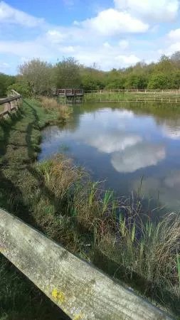 Great Aycliffe Way