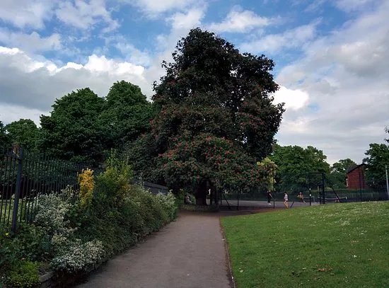 Cale Green Park
