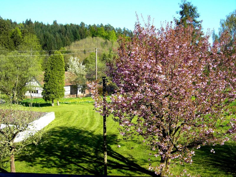 Gasthof Ohrnbachtal