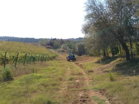 La Bottega del Vino