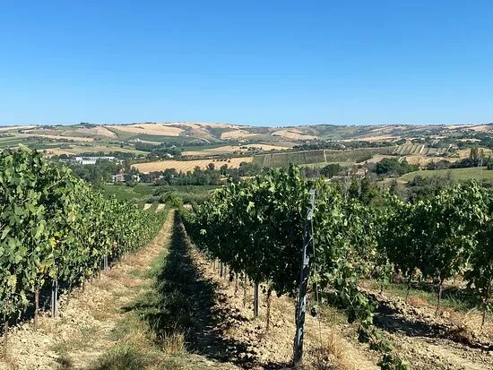 Azienda Agricola Rovegliano