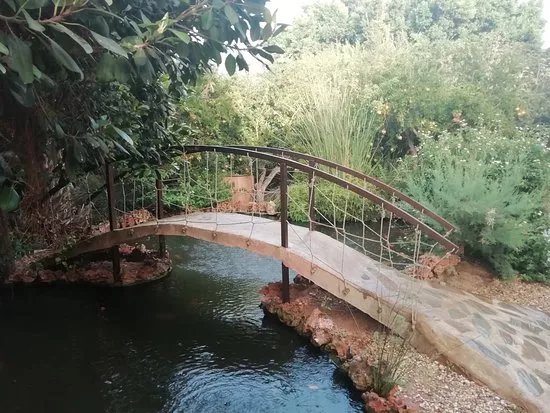 Balsa Del Sapo
