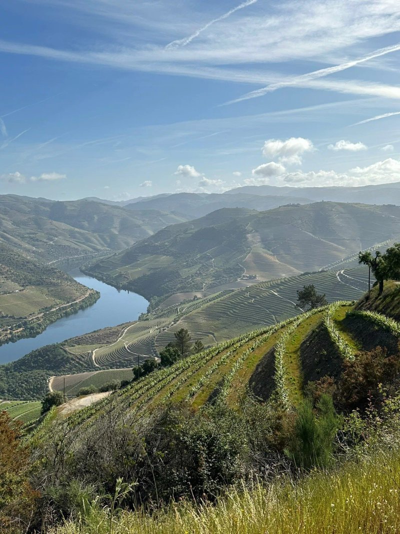 Stay At The Winemaker