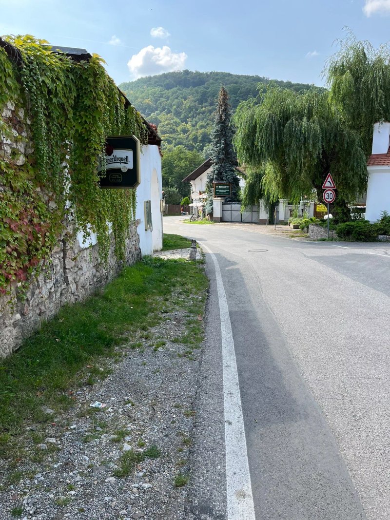 Restaurace a Penzion U Lva