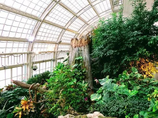 The Butterfly House
