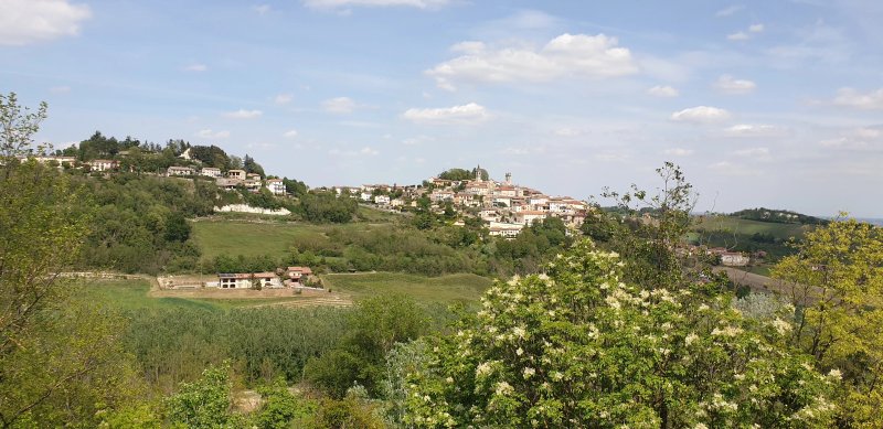 B&B L' Angolo Fiorito