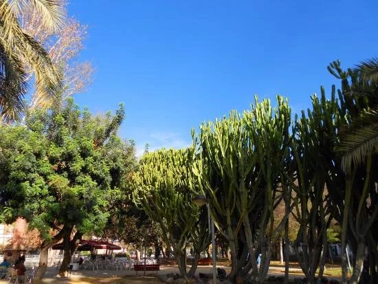 Jardin del Salitre