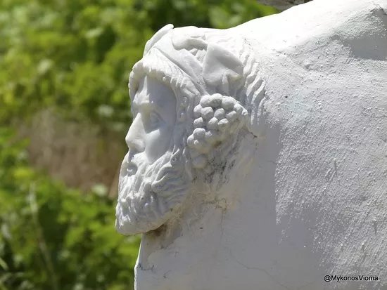 Mykonos Vioma Organic Farm