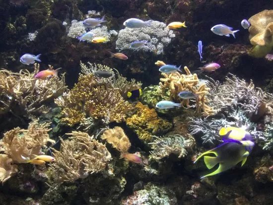 Gardaland SEA LIFE Aquarium
