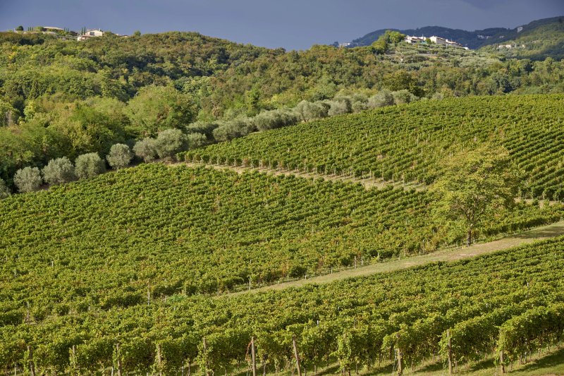 Tenuta Novare Di Bertani