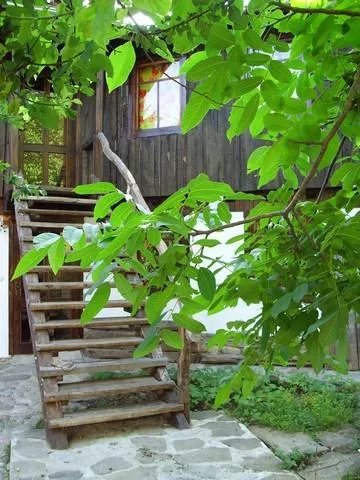 Little Spring Guest House
