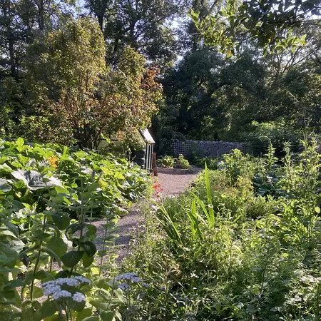 Dewi's Acre / Erw Dewi - St Davids Community Garden