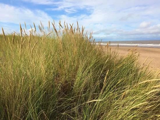 Anderby Creek Beach