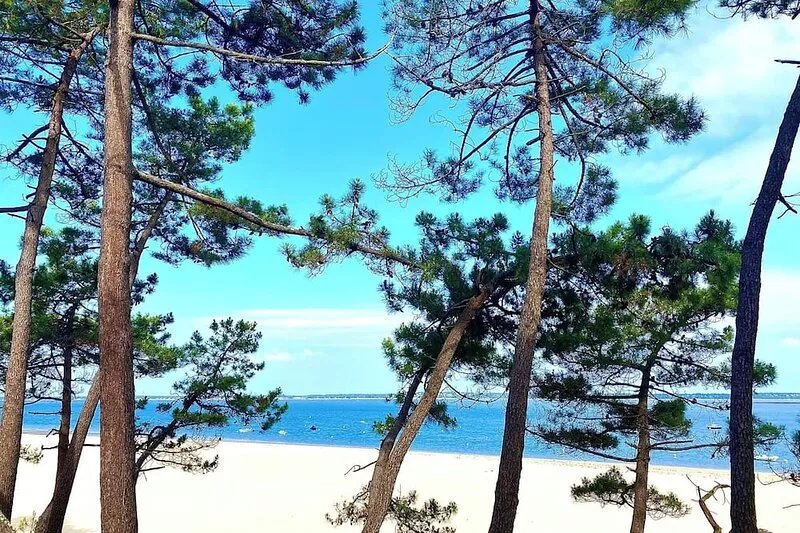 Abatilles" neighborhood, pretty Arcachon village near beaches, forest