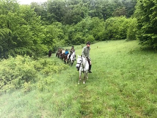 Villa Abbatis Equestrian Center