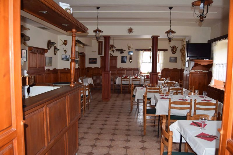 Penzion Borovnice