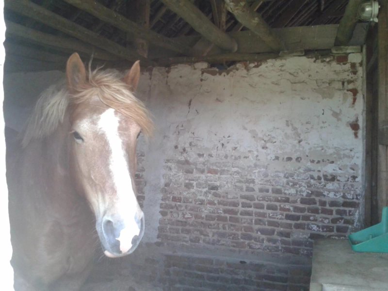 B&B Hoeve Carpe Diem