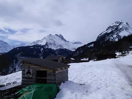 Sulwald