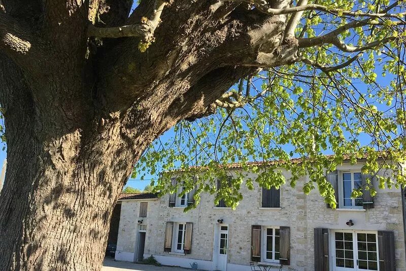 House / Villa - VARZAYHouse with character with warmed private swimming pool