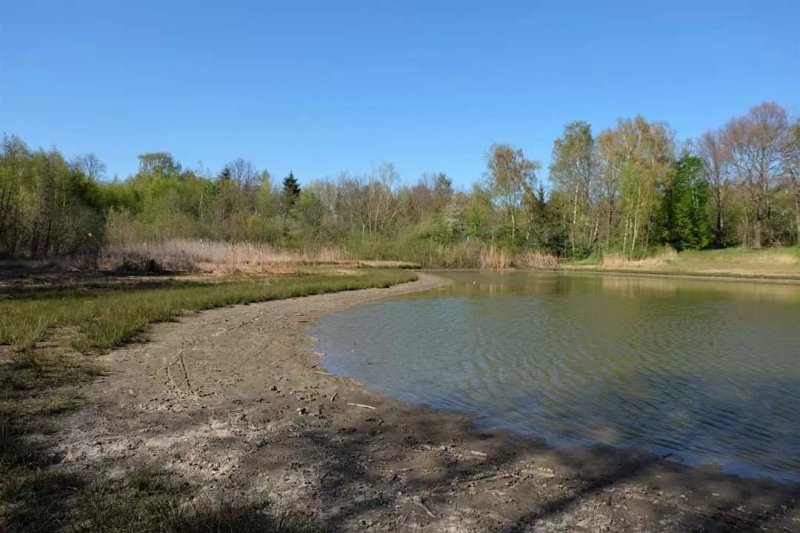 Sandteich