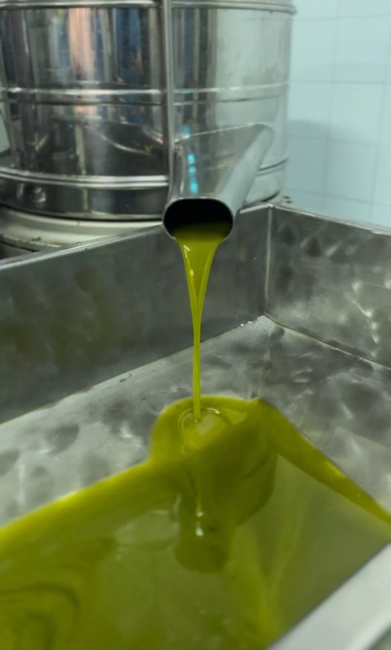 Olio Extravergine Di Oliva Trapani