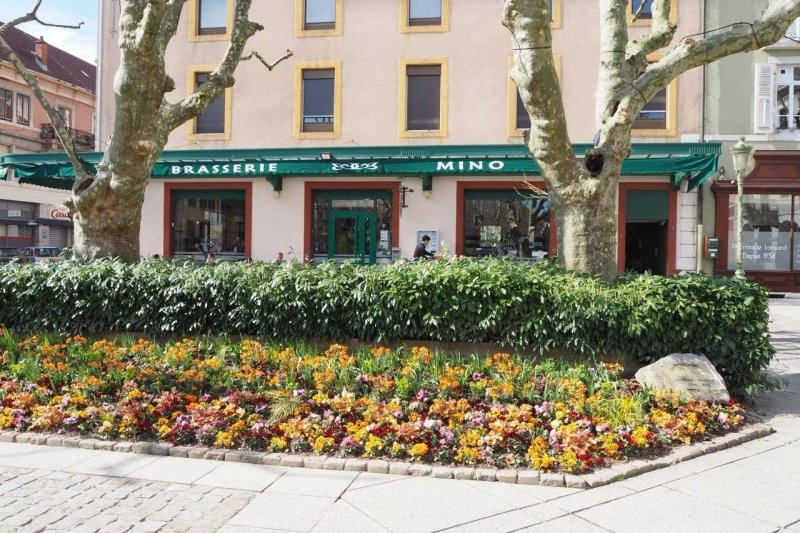 Brasserie Mino