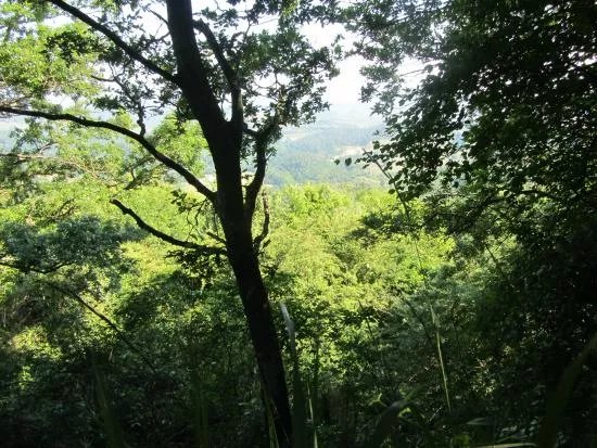 Rocca Di Montanino