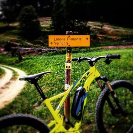 barcollo bike tour