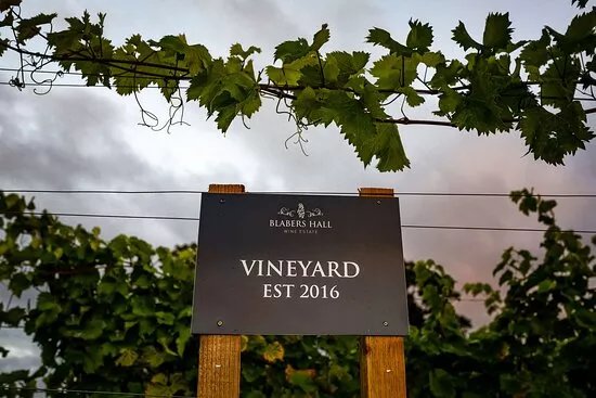 Blabers Hall Wine Estate