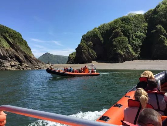 Ilfracombe Sea Safari