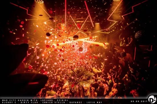 D! Club