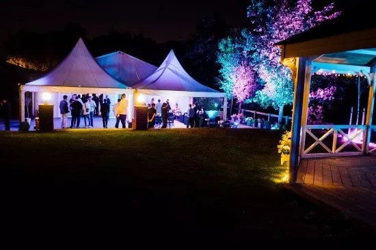 The Beaverwood