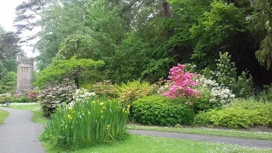 Coy Pond Gardens