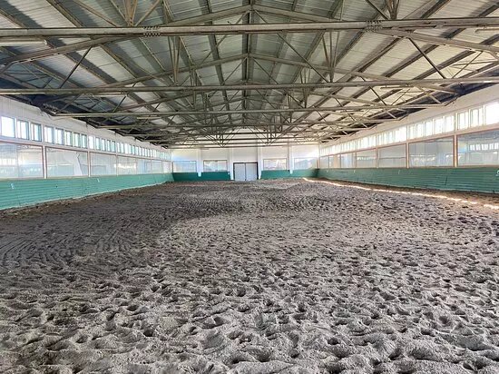 Herghelia Radauti / Radauti Horses Stud.
