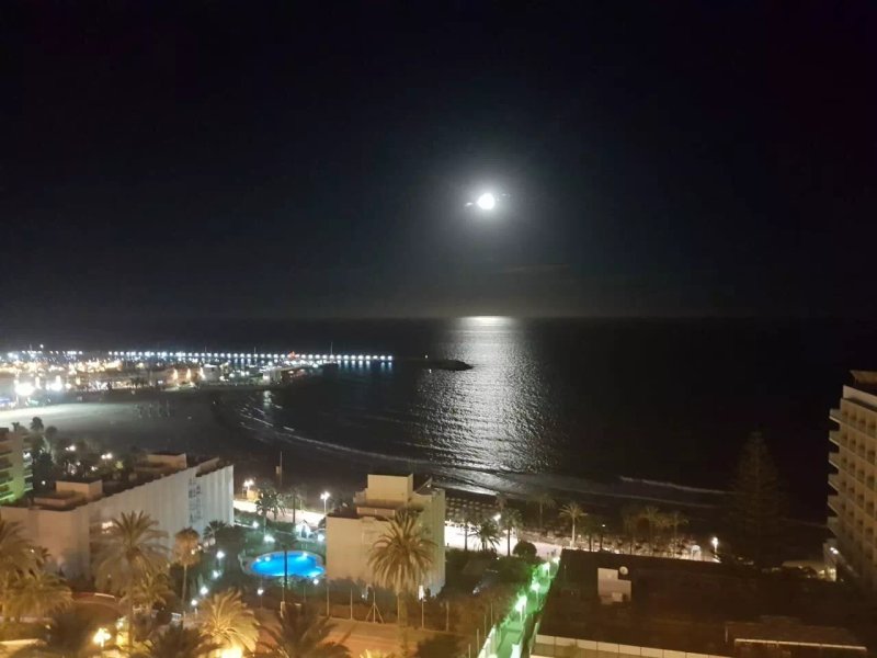 Apartamentos Orfeo Azul