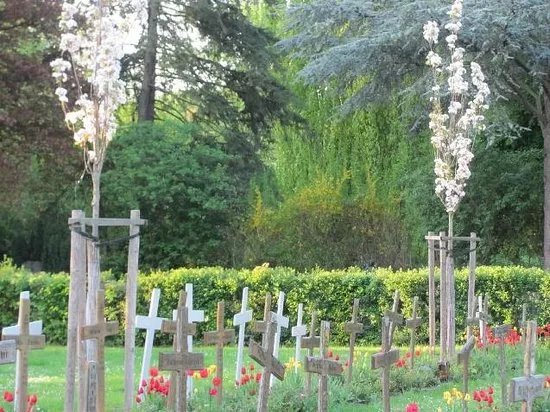 Cemetery Andernach