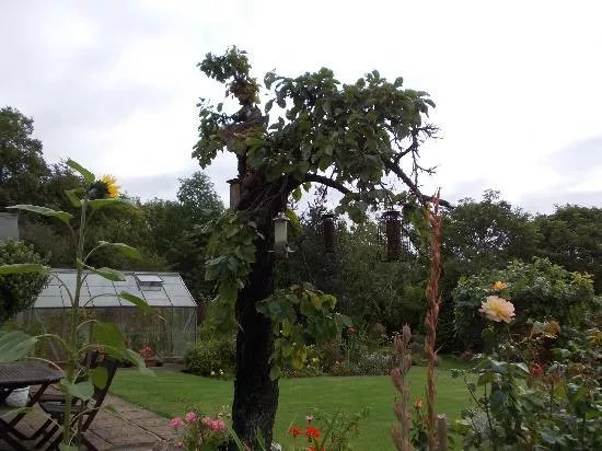 Hillcrest Guest House