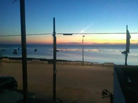 Pinna Nobilis Divers Club