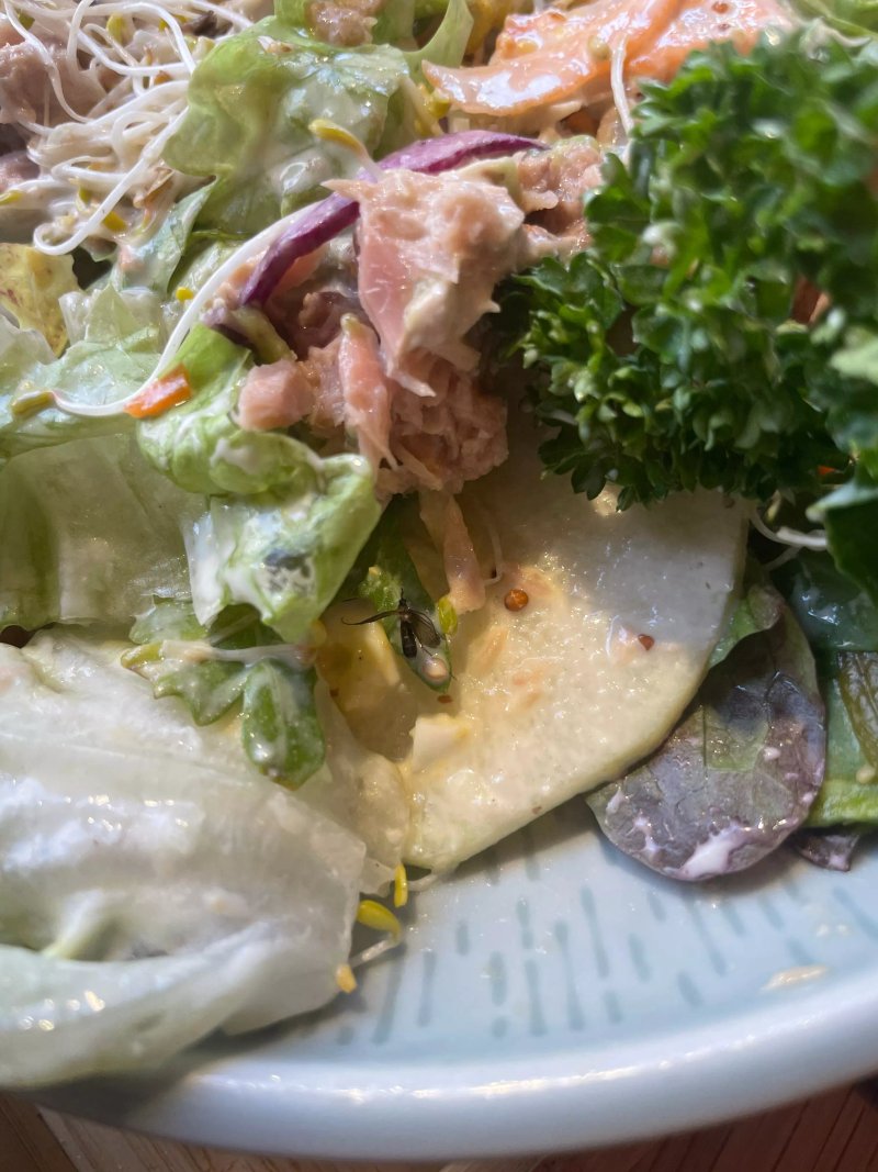 Salad&co Lille Nationale
