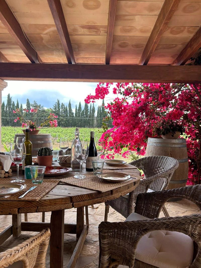 Vinyes I Vins Ca Sa Padrina