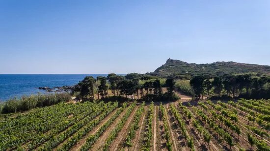 Domaine des Embiez