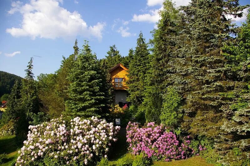 Detached vacation home with sauna and whirlpool for individual use