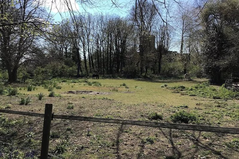 2 bedroom accommodation in Falkenham