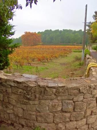 Domaine De L'Escattes
