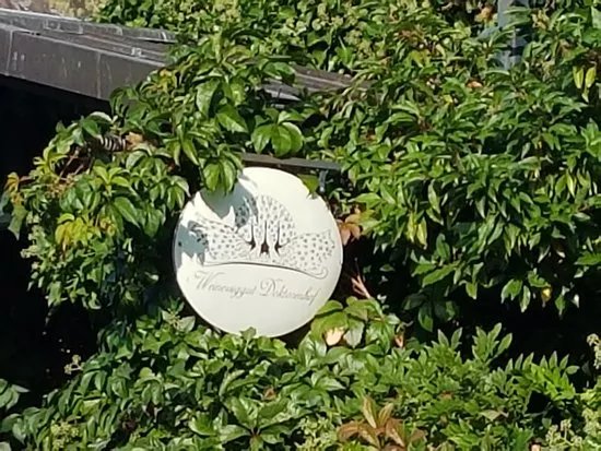 Weinessiggut Doktorenhof