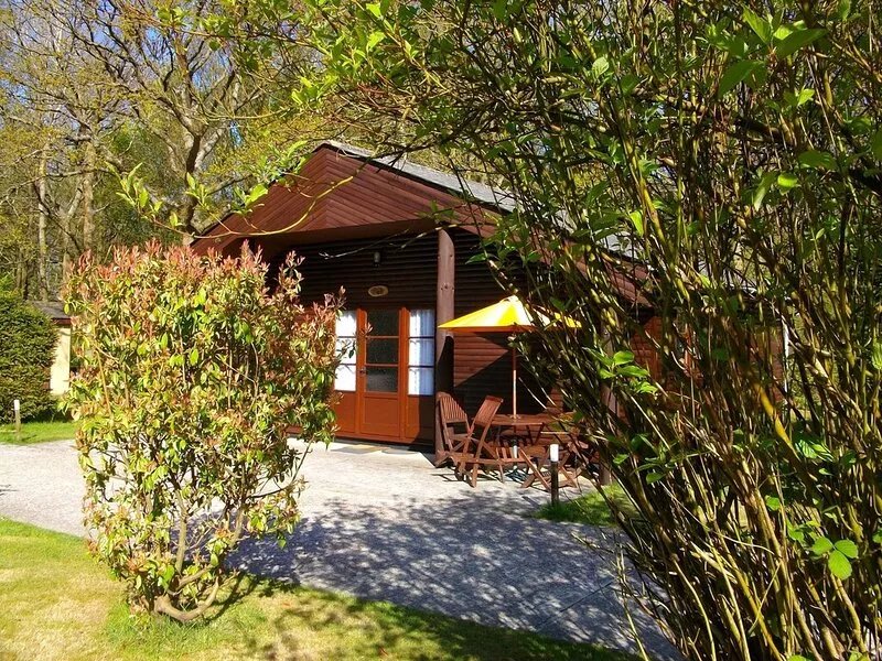 Heated Indoor Pool 2 bedroom lodge sleeps 4 set in 5acres of beautiful Woodland